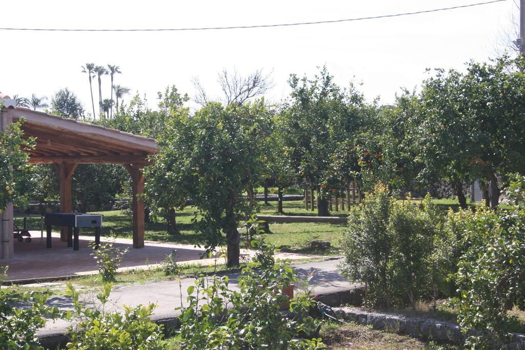 Agriturismo Galea Riposto Dış mekan fotoğraf