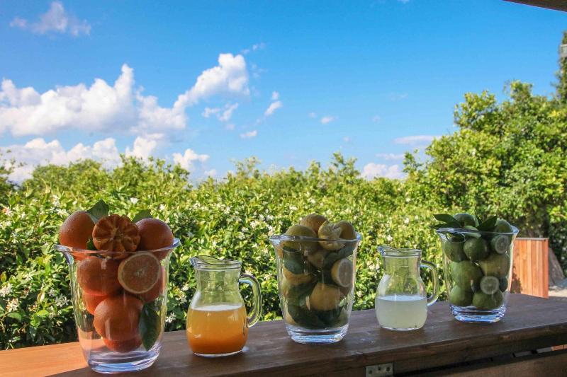 Agriturismo Galea Riposto Dış mekan fotoğraf