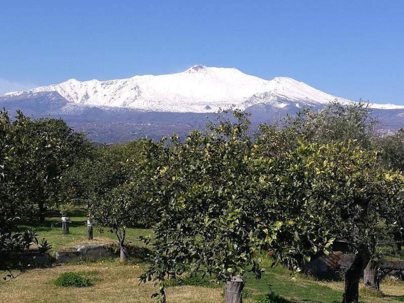 Agriturismo Galea Riposto Dış mekan fotoğraf