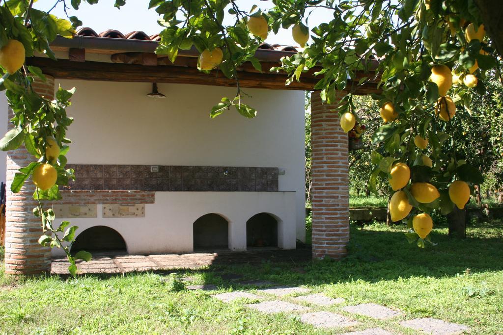 Agriturismo Galea Riposto Dış mekan fotoğraf
